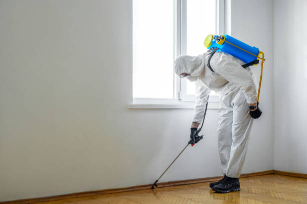 Best Best Pest Control Companies  in Grandview, OH