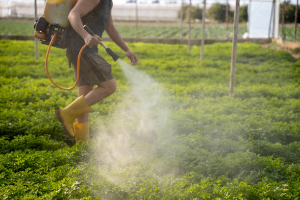 Best Mosquito Control Services  in Grandview, OH