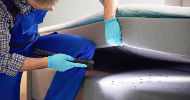Best Termite Control Services  in Grandview, OH