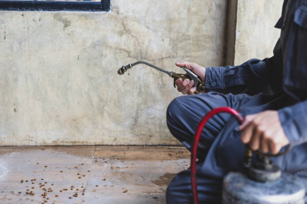 Best Exterminator Services  in Grandview, OH